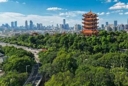 90语音足球比分直播-90语音足球比分直播，科技赋能，让绿茵激情实时触达